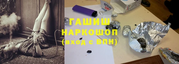 индика Богородск