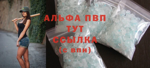 индика Богородск