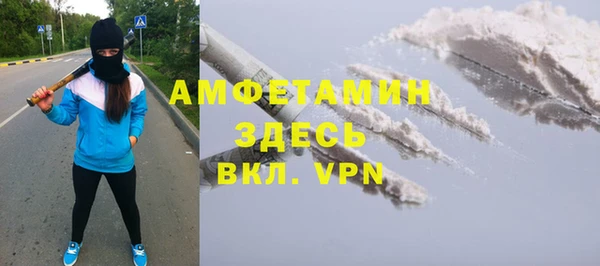 индика Богородск