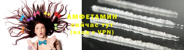 индика Богородск