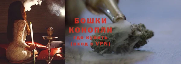ECSTASY Бородино