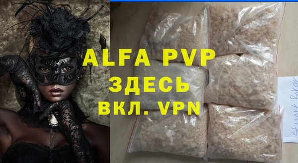 индика Богородск