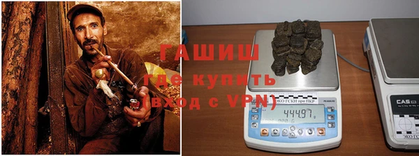 индика Богородск