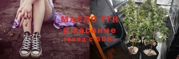 индика Богородск