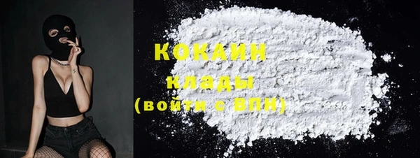 ECSTASY Бородино