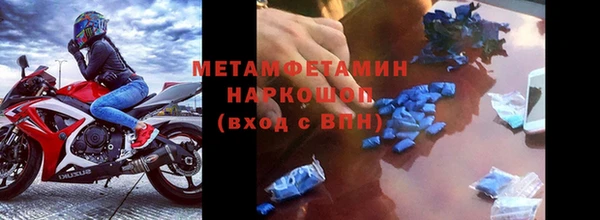 индика Богородск